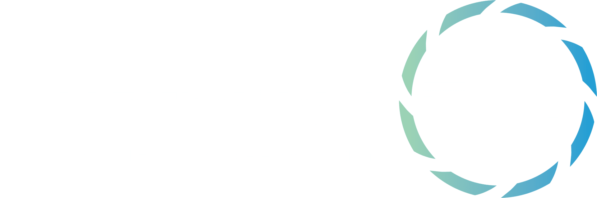 Australian Electric Vehicle Specialists